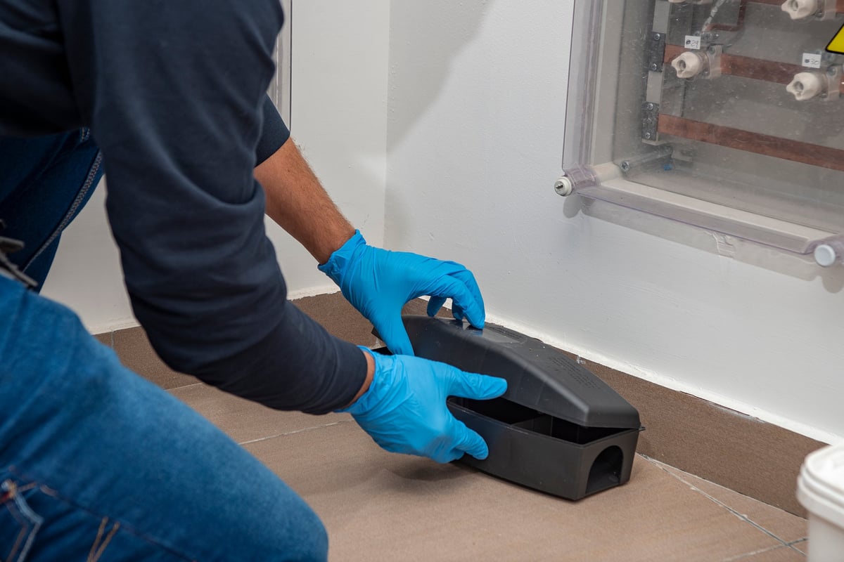 Preparation of benzene for rat sterilization, in a special camouflaged box.