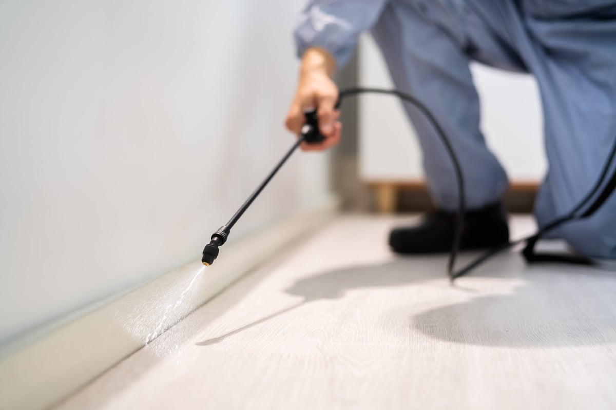 Pest control technician spraying pesticide in a residential home