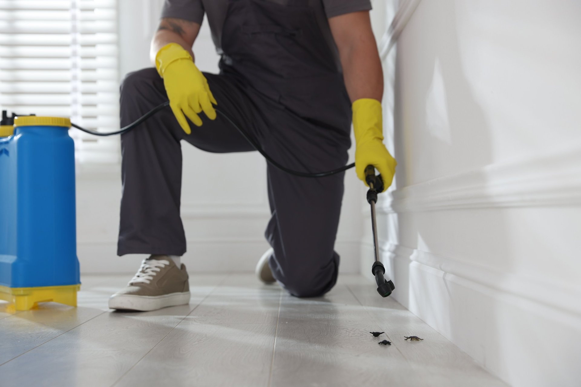 Pest control worker providing commercial pest management indoors